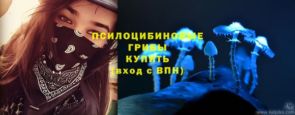 гашик Алексин