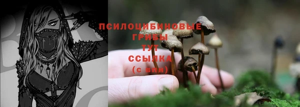 молекула духа Абдулино