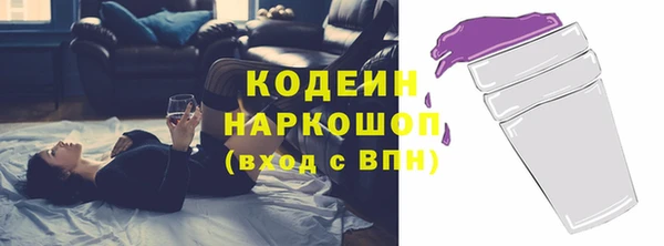 гашик Алексин