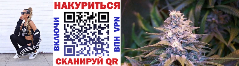 купить наркотики сайты Железногорск-Илимский Канабис SATIVA & INDICA